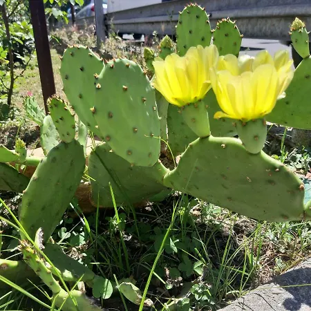 Mediterranean Concept House Специя