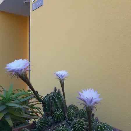 Гостевой дом Mediterranean Concept House