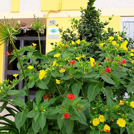 Mediterranean Concept House Pensionat 3*